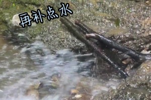 意媒：泽林斯基&阿瑙在上一场热身赛后肌肉不适，周一将接受检查